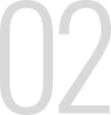 assets_423192.png